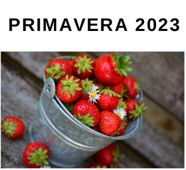 Programa d'activitat física i salut - Primavera 2023