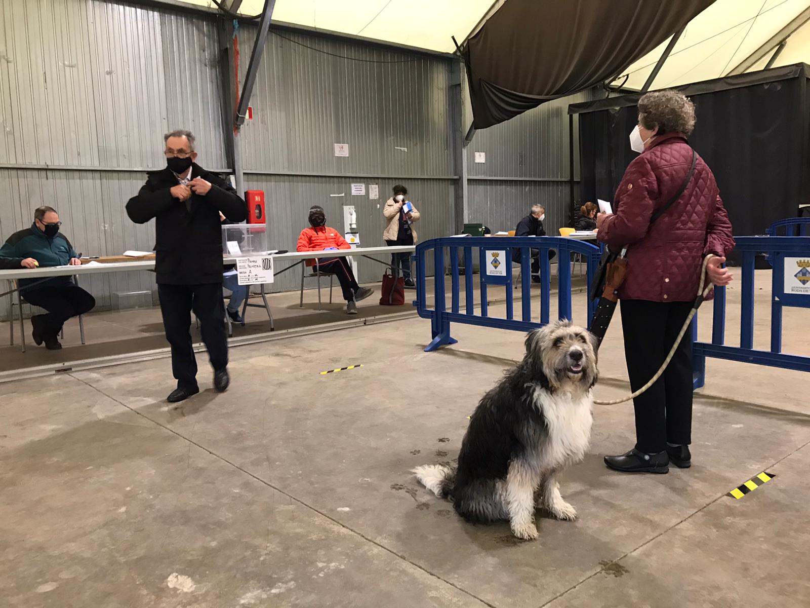 A Roda de Ter es van habilitar 3 col·legis electorals.