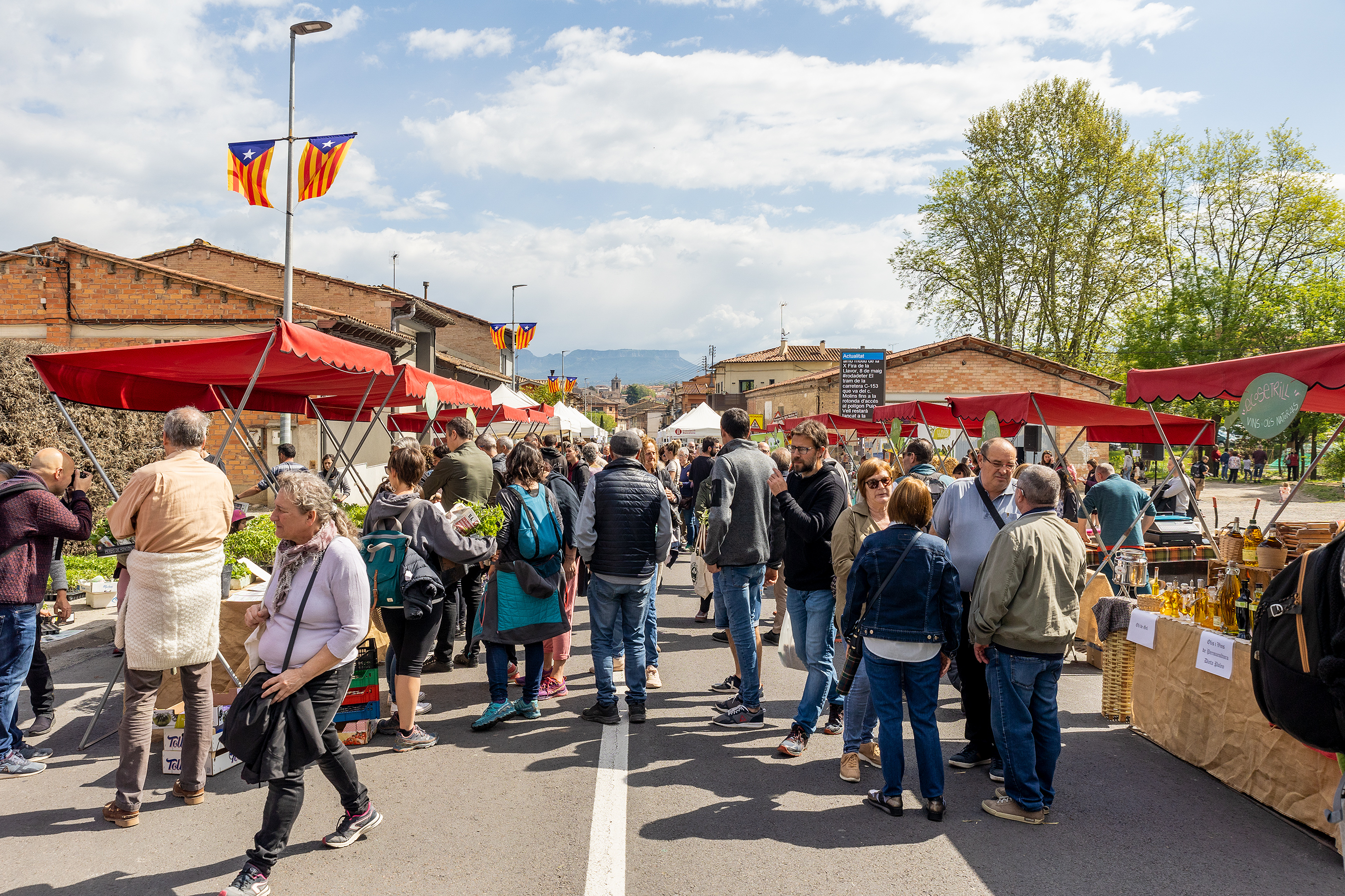 Imatges de la Fira de la Llavor del 2022, amb el tall de la C-153 per ubicar les parades