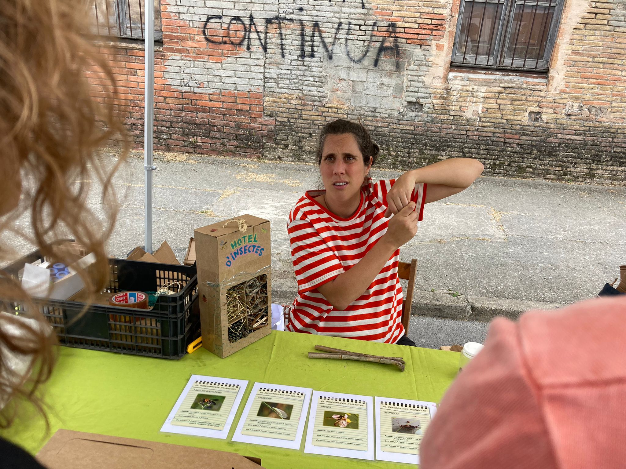 XI Fira de la Llavor 2023