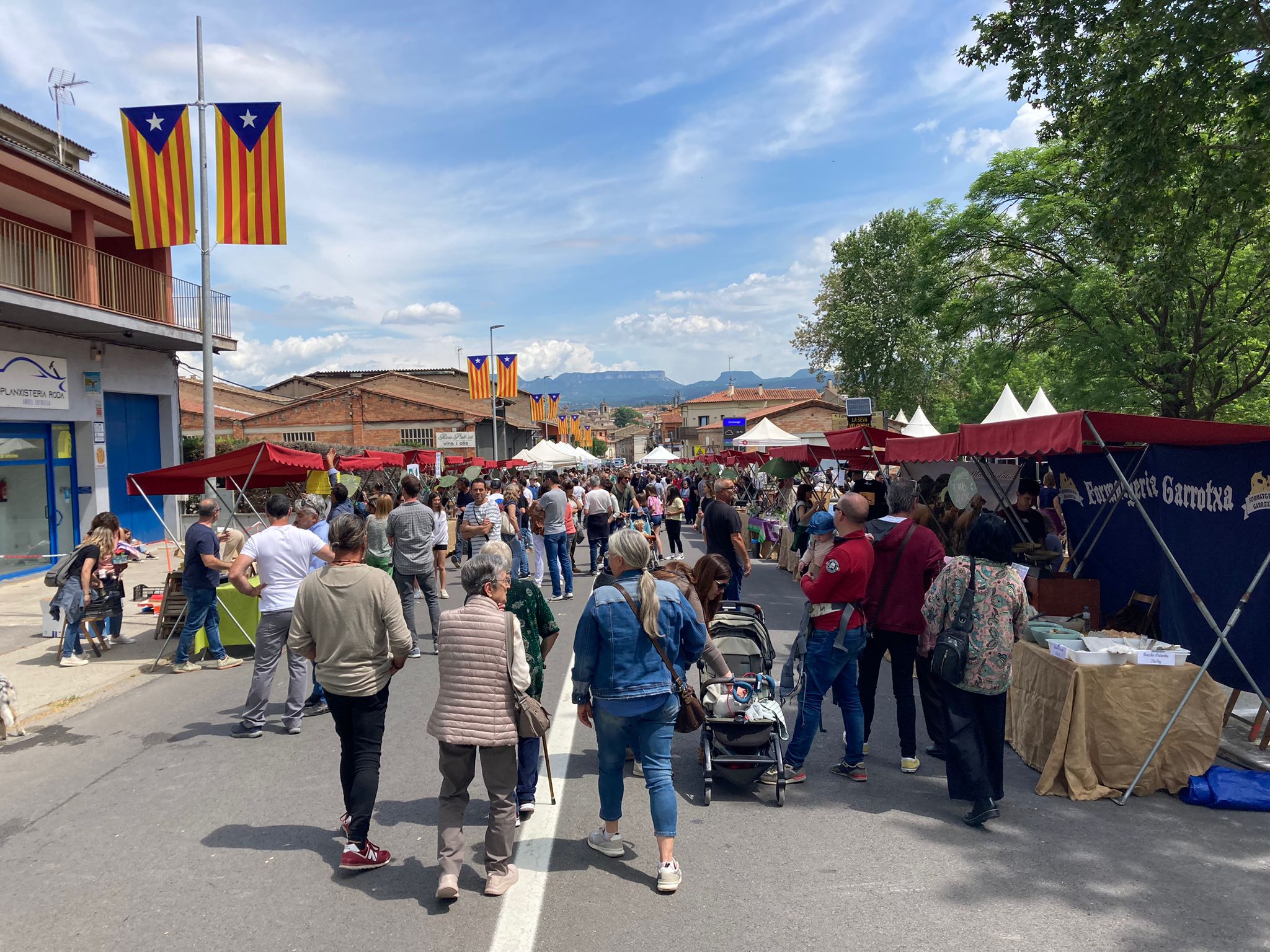 Roda de Ter viu una XI Fira de la Llavor amb molta participació que acaba amb l'esperada pluja