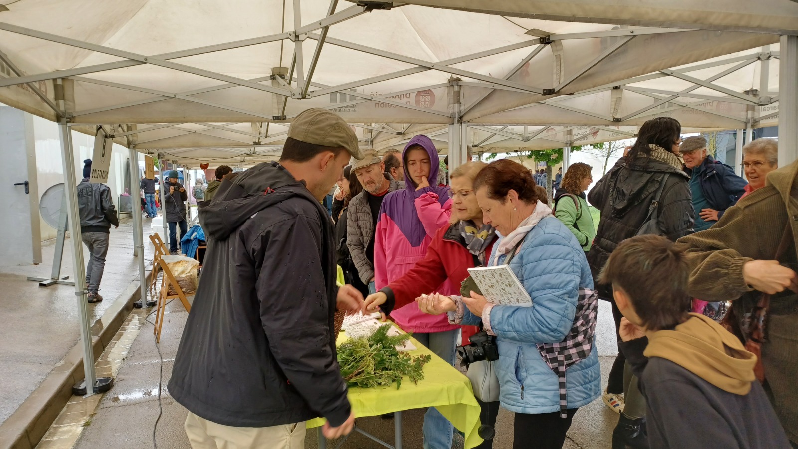 XII Fira de la Llavor de Roda de Ter