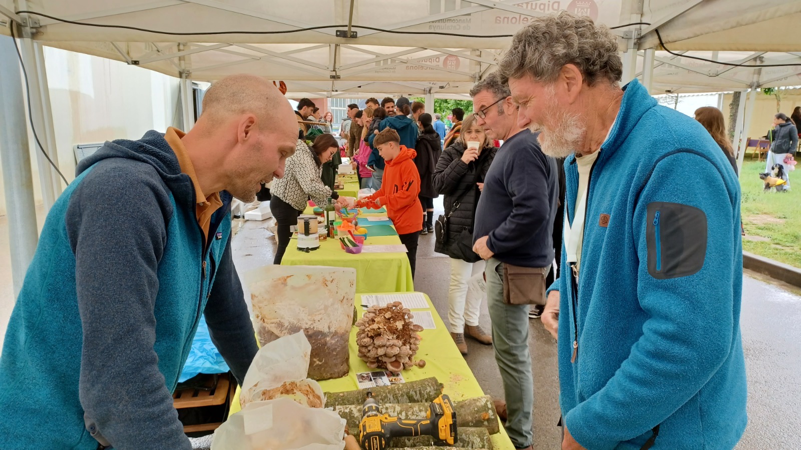 XII Fira de la Llavor de Roda de Ter