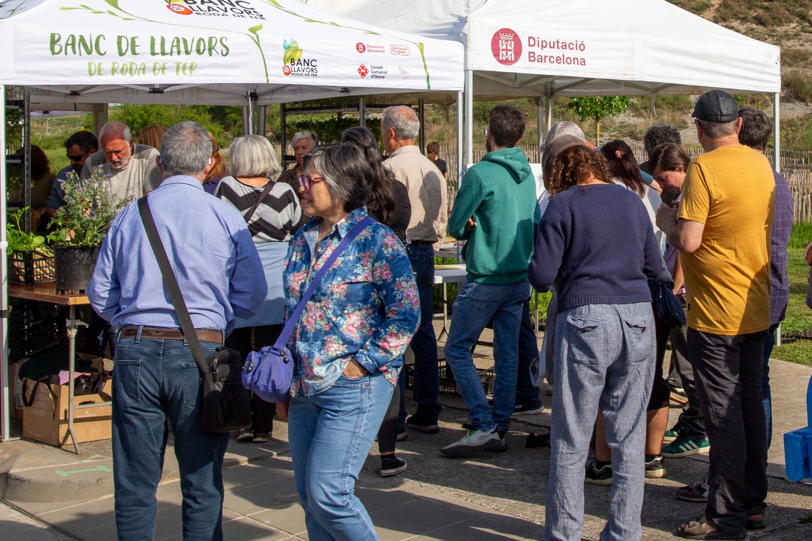 Roda de Ter tanca amb &egrave;xit la XIV Fira de la Llavor