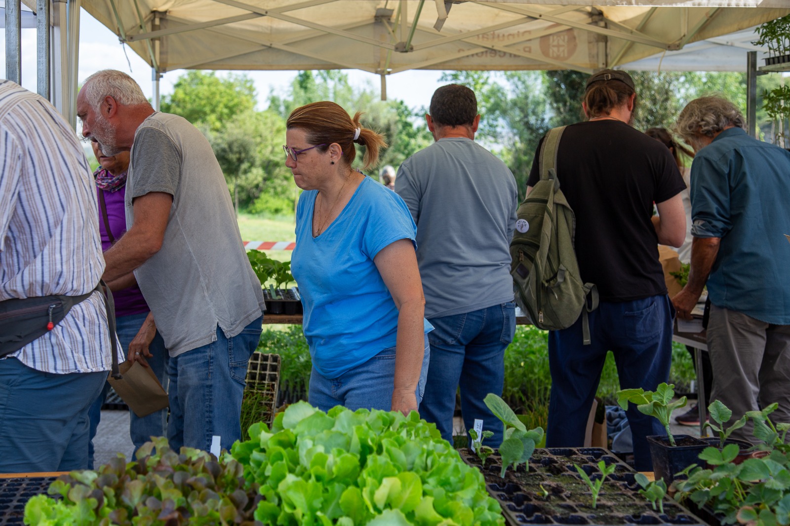 Roda de Ter tanca amb &egrave;xit la XIV Fira de la Llavor