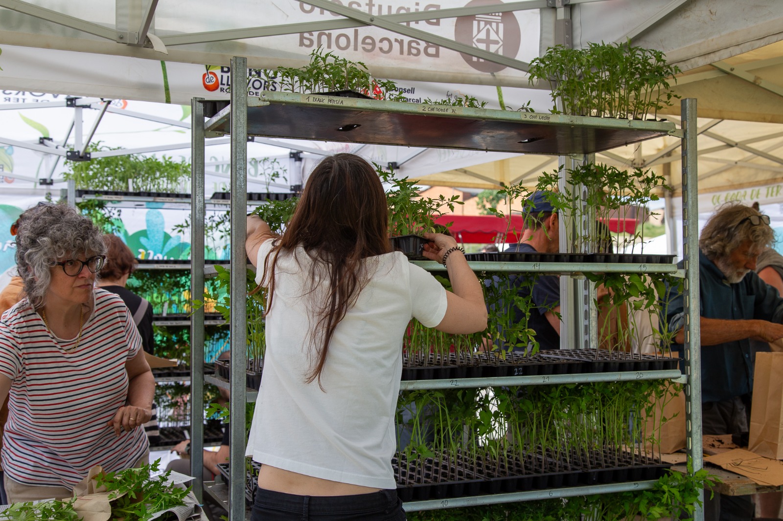 Roda de Ter tanca amb &egrave;xit la XIV Fira de la Llavor
