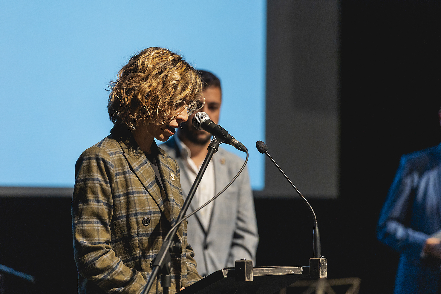 Lliurament dels Premis literaris, artístics i pedagògics