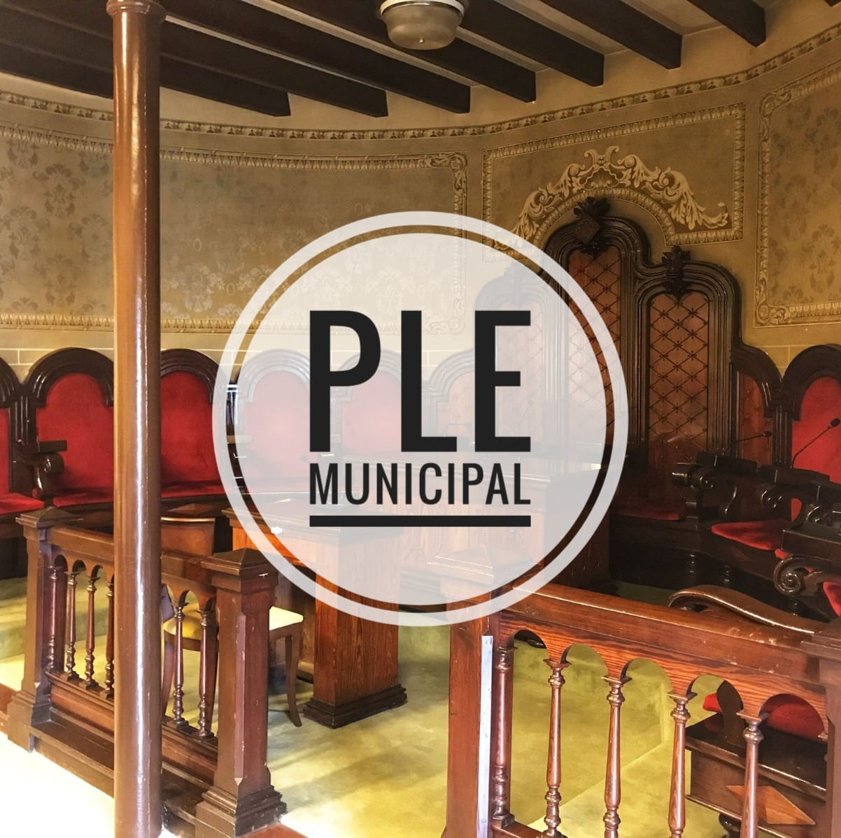 Ordre del dia del Ple d'abril de 2025