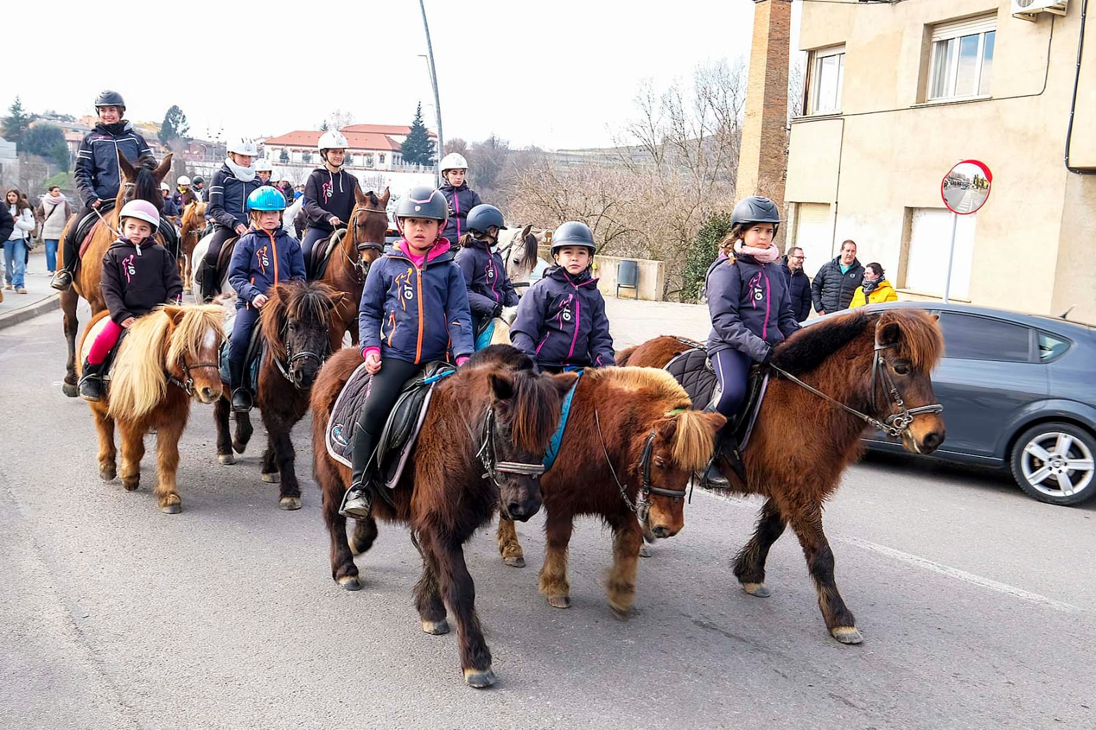La Festa de Sant Antoni Abat (2025)