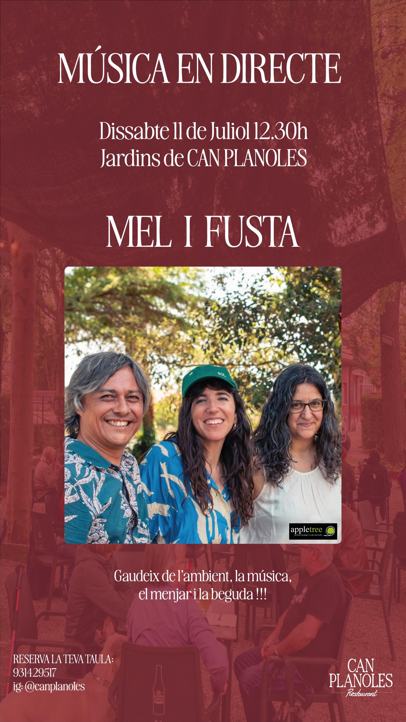 Concert de Mel i Fusta