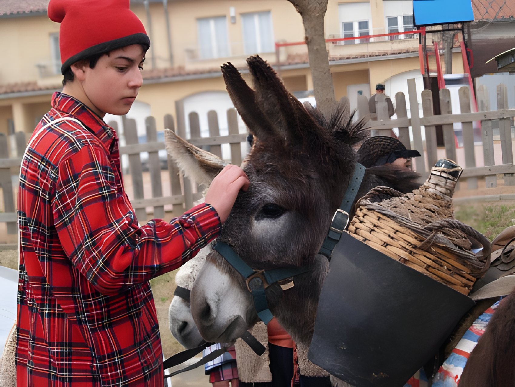 Festes de Sant Antoni Abat