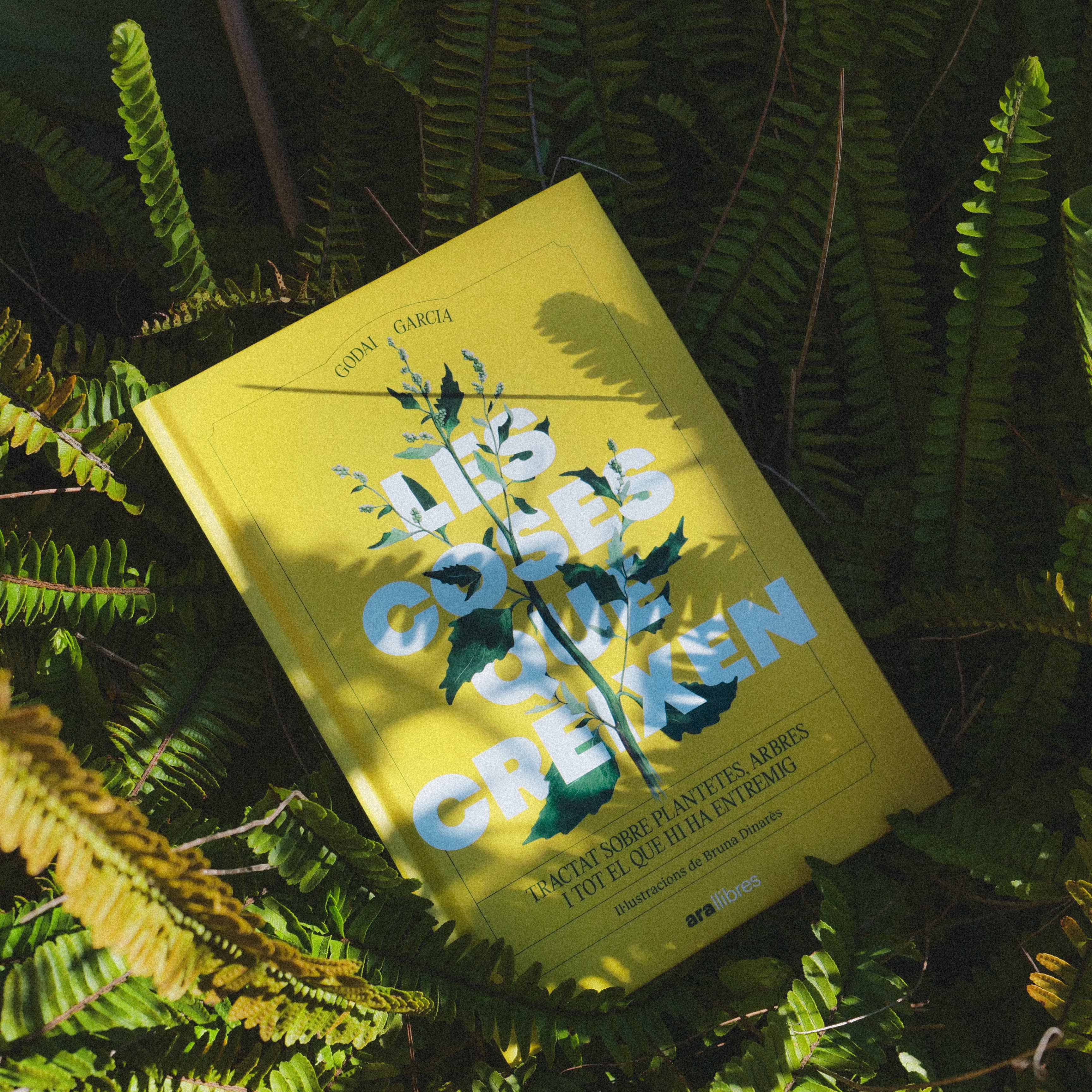 Presentaci&oacute; de llibre - Les coses que creixen