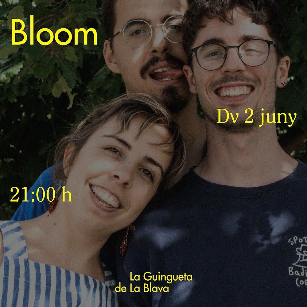 Concert de Bloom