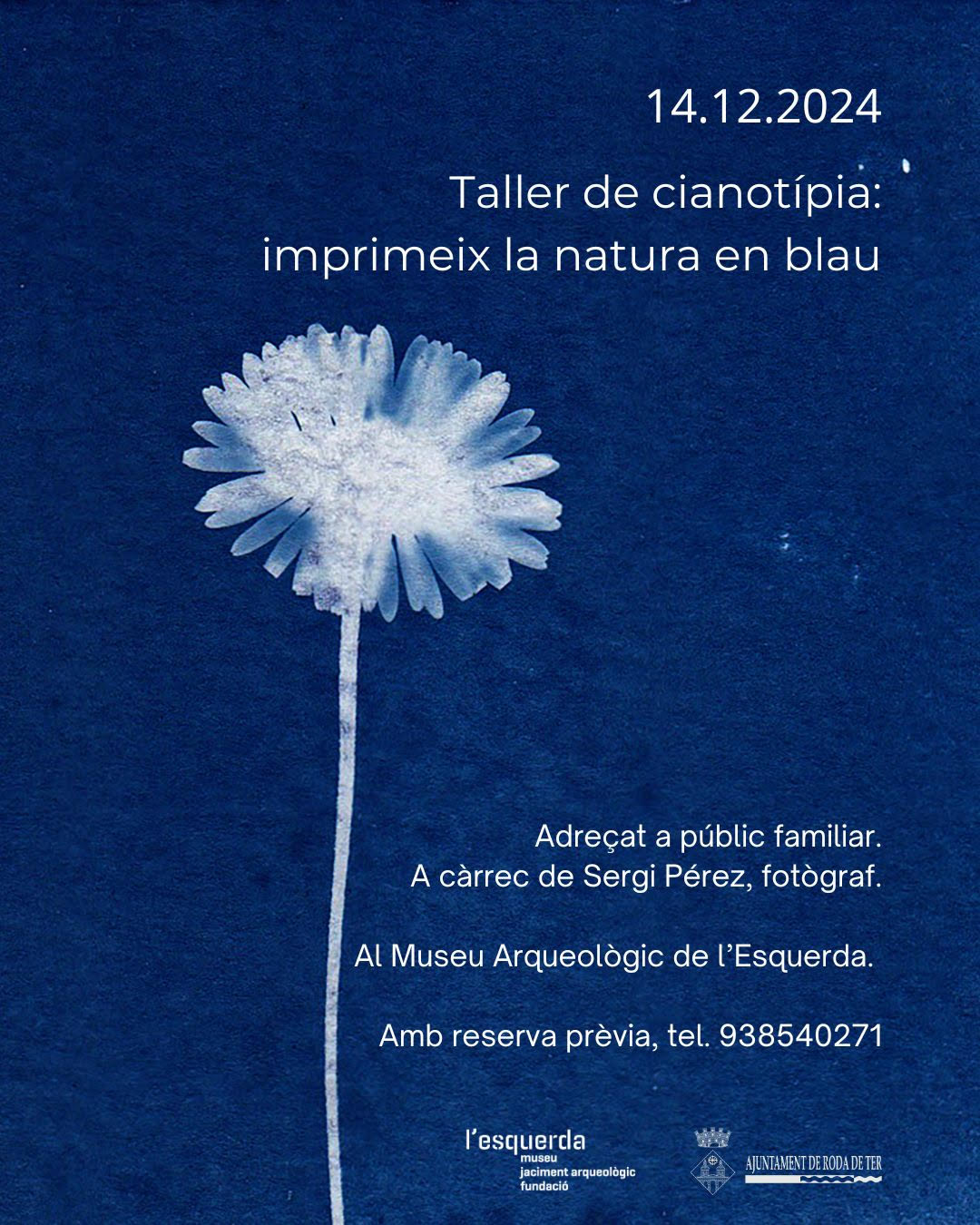 Roda per Nadal | Taller 