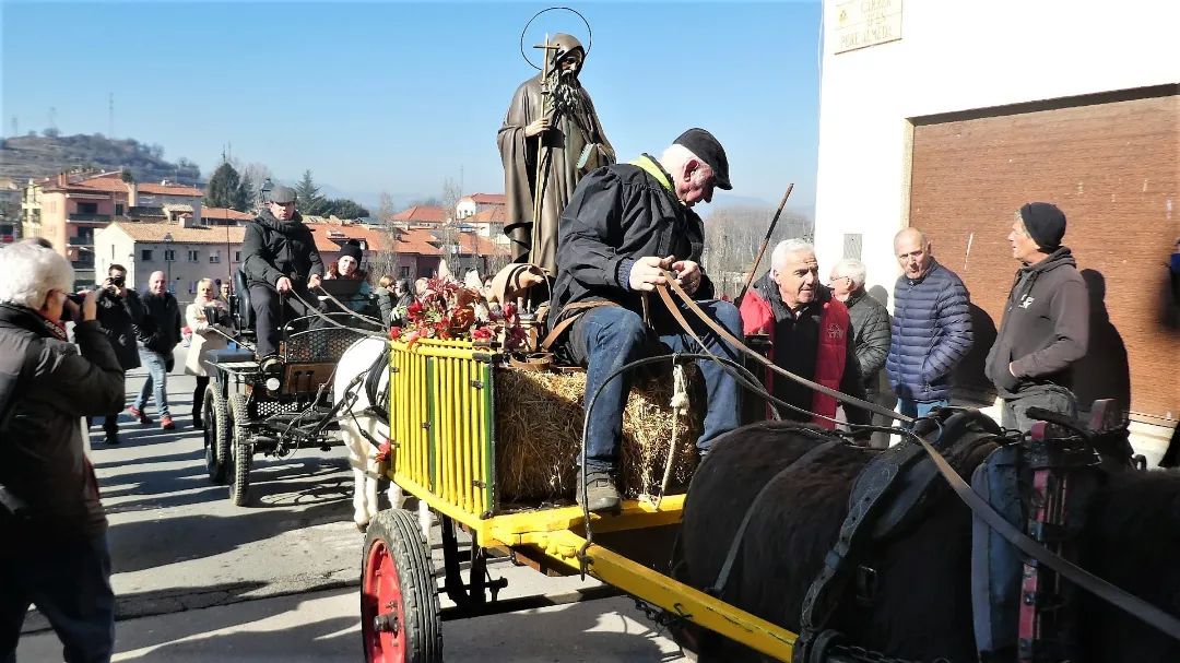 Roda de Ter celebra les festes en honor a Sant Antoni Abat