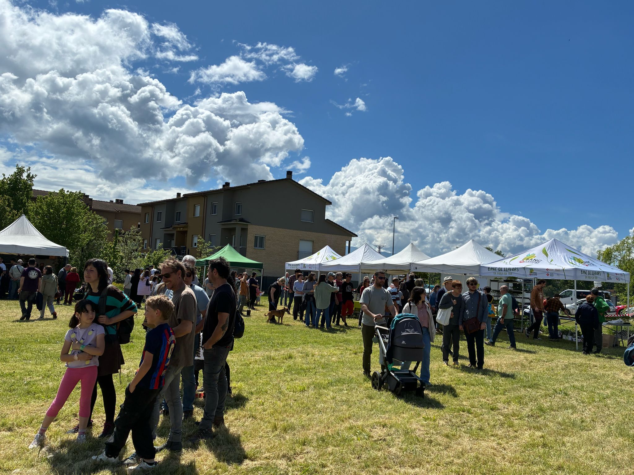 Molta participació i bona acollida del nou espai en la XIII edició de la Fira de la Llavor de Roda de Ter